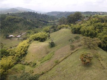 Finca en venta sector Calarcá la Virginia (13 cuadras)