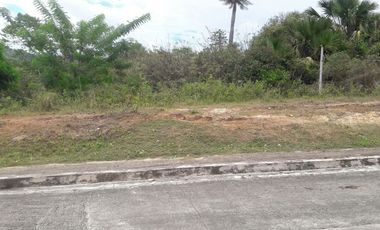 Overlooking 204 Sqm Lot for Sale in Greenwoods Subdivision near Talamban Cebu City