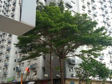 Apartemen 2 BR Di Oak Tower Kelapa Gading Depe 5 Juta