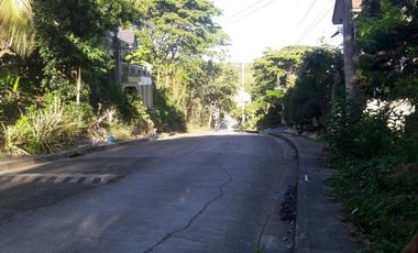 303 Sqm Elevated Lot for Sale in Greenwoods near Talamban Cebu City