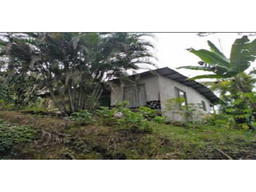 TERRENO DE 2.752M2 CON CASA  EN CAÑAS GORDAS CHIRIQUI