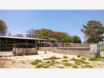 FINCA/RANCHO EN SAN MIGUEL DETHI