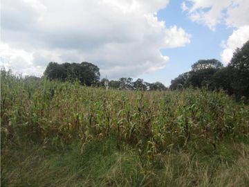 FINCA/RANCHO EN SAN MIGUEL DETHI
