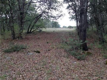 FINCA/RANCHO EN SAN MIGUEL DETHI