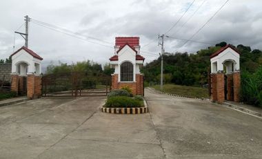 Overlooking 180 Sqm Lot for Sale in Greenwoods near Talamban Cebu City with Mountain View