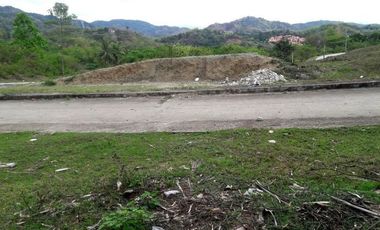 Overlooking 180 Sqm Lot for Sale in Greenwoods near Talamban Cebu City with Mountain View