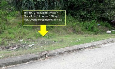 Overlooking 180 Sqm Lot for Sale in Greenwoods near Talamban Cebu City with Mountain View