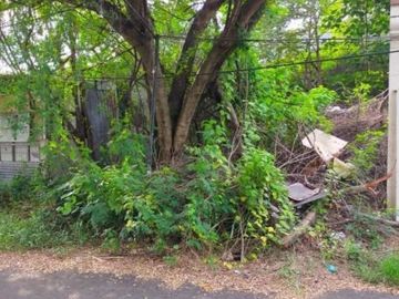 Tanah Rungkut cocok buat kos, Murah