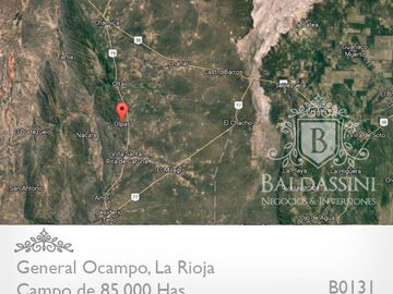 CAMPO MIXTO DE 85.000 HA. EN GENERAL OCAMPO, PROVINCIA DE LARIOJA,REPÚBLICA ARGENTINA.