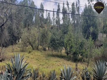 Terreno de venta en Calle trajano carrasco  – código:19822