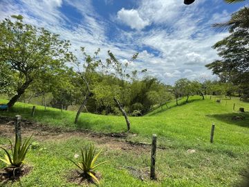 finca en venta en via alcala - cartago. Cod V609