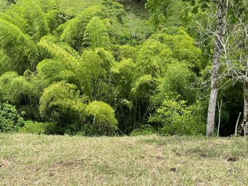 finca en venta en via alcala - cartago. Cod V609