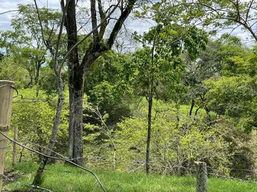 finca en venta en via alcala - cartago. Cod V609