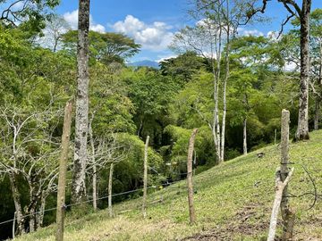 finca en venta en via alcala - cartago. Cod V609