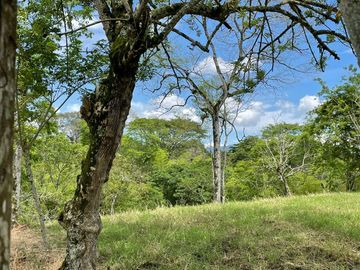 finca en venta en via alcala - cartago. Cod V609