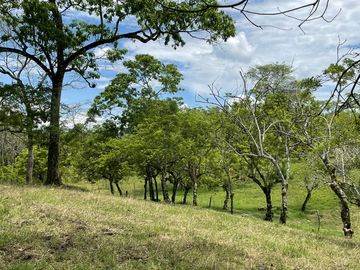 finca en venta en via alcala - cartago. Cod V609