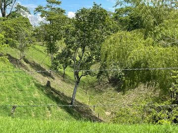 finca en venta en via alcala - cartago. Cod V609