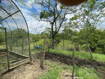finca en venta en via alcala - cartago. Cod V609