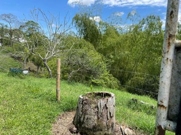 finca en venta en via alcala - cartago. Cod V609