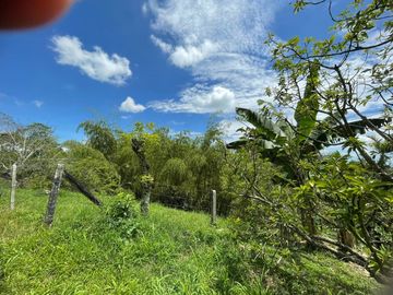 finca en venta en via alcala - cartago. Cod V609
