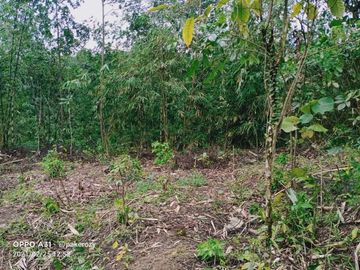 Tanah ngargoyoso 1700m 100jt shm pekarangan