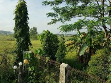 TANAH 5 HA STRATEGIS SIAP BANGUN TENGAH KOTA LAMPUNG