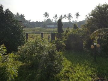 TANAH 5 HA STRATEGIS SIAP BANGUN TENGAH KOTA LAMPUNG
