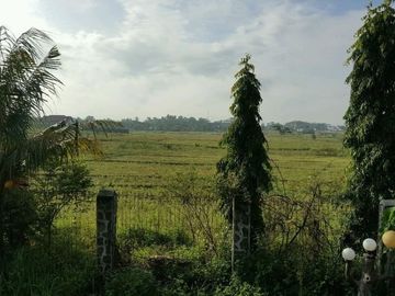 TANAH 5 HA STRATEGIS SIAP BANGUN TENGAH KOTA LAMPUNG