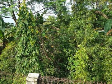 TANAH 5 HA STRATEGIS SIAP BANGUN TENGAH KOTA LAMPUNG