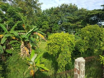 TANAH 5 HA STRATEGIS SIAP BANGUN TENGAH KOTA LAMPUNG