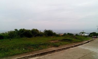 163 Sqm Elevated Lot for Sale in Vista Grande Talisay Cebu City with Sea View
