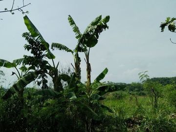 DIJUAL: Tanah industri B3, dkt pabrik Daria Varia TBK di Gunung Putri, Bogor