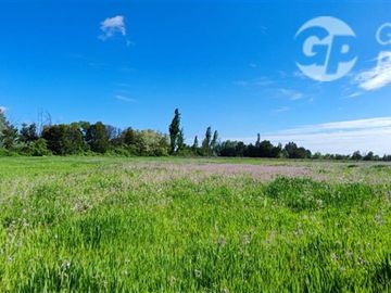 Sitio en venta en San Carlos