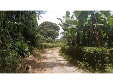 SE VENDE FINCA EN PUEBLO TAPAO