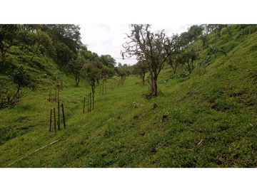 SE VENDE FINCA EN PUEBLO TAPAO