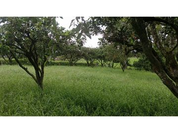 SE VENDE FINCA EN PUEBLO TAPAO