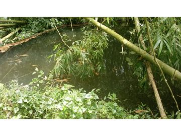 SE VENDE FINCA EN PUEBLO TAPAO