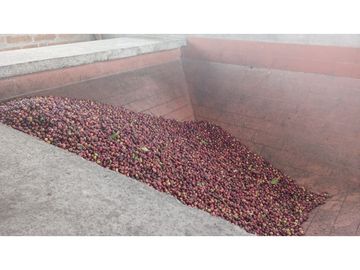 SE VENDE FINCA EN PUEBLO TAPAO