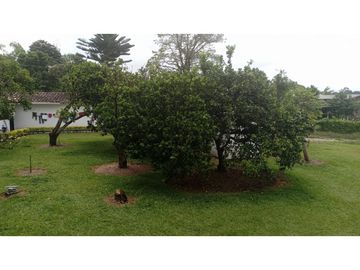 SE VENDE FINCA EN PUEBLO TAPAO