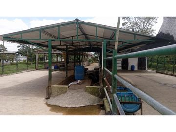 SE VENDE FINCA EN PUEBLO TAPAO