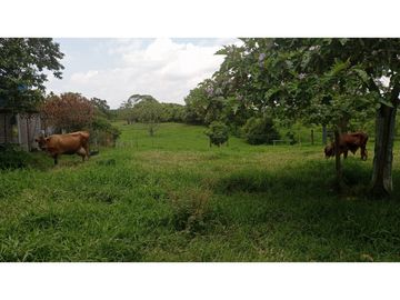 SE VENDE FINCA EN PUEBLO TAPAO