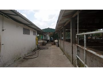 SE VENDE FINCA EN PUEBLO TAPAO