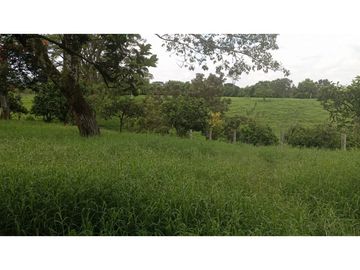 SE VENDE FINCA EN PUEBLO TAPAO