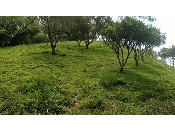 SE VENDE FINCA EN PUEBLO TAPAO