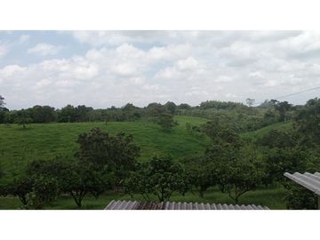 SE VENDE FINCA EN PUEBLO TAPAO