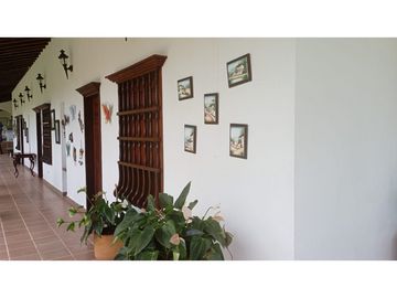 SE VENDE FINCA EN PUEBLO TAPAO