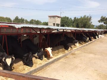 Terreno en Venta, Tepeapulco, Hgo.