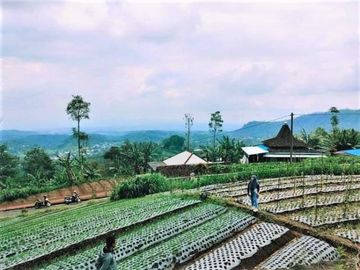 Jual Tanah Strategis View Perbukitan Kemuning Ngargoyoso Karanganyar