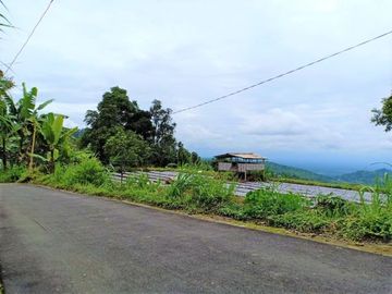 Jual Tanah Strategis View Perbukitan Kemuning Ngargoyoso Karanganyar