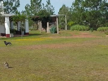 EXCELENTE PROPIEDAD CASA QUINTA  TERRENO DE UNA HECTAREA EN  PARAJE ATALAYA EN  RUTA 94 SANTO TOME CORRIENTES